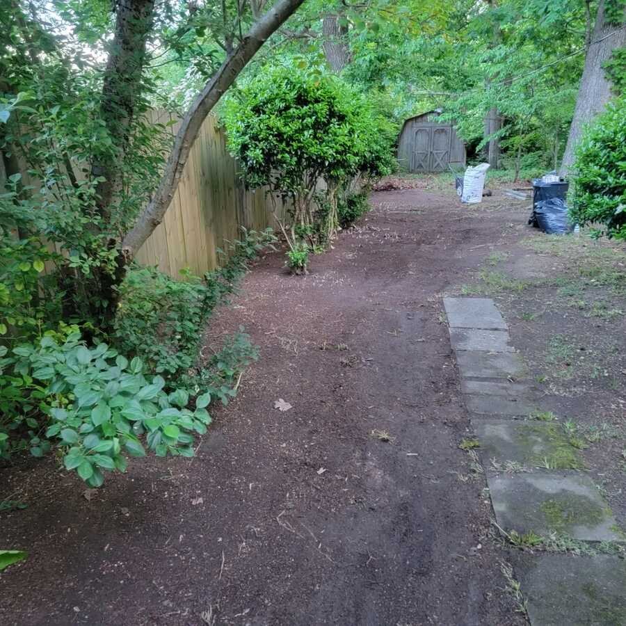 Tree-lined outdoor path shared by J & A